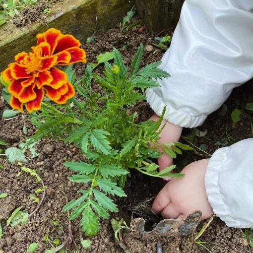 activite-jardinage-bulledecalins